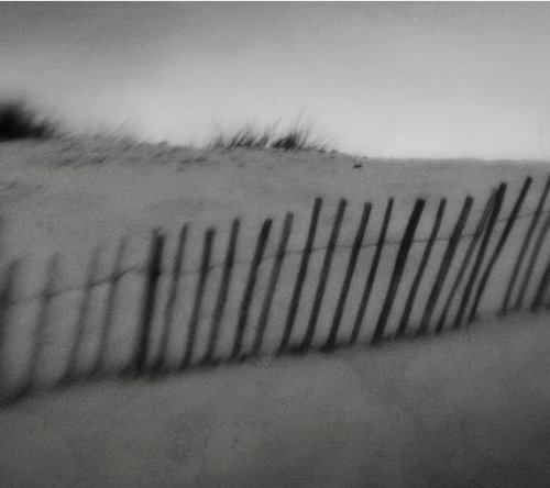 Playing in the dunes by Steve Deer