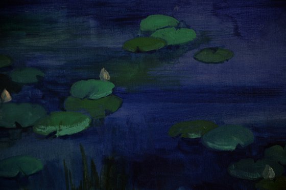 Lily pond. Lullaby