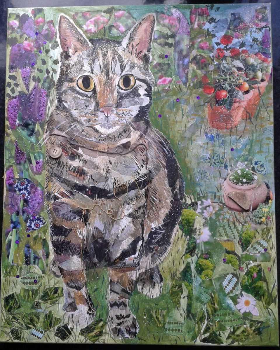 Cat in the garden by Fiona Plaisted