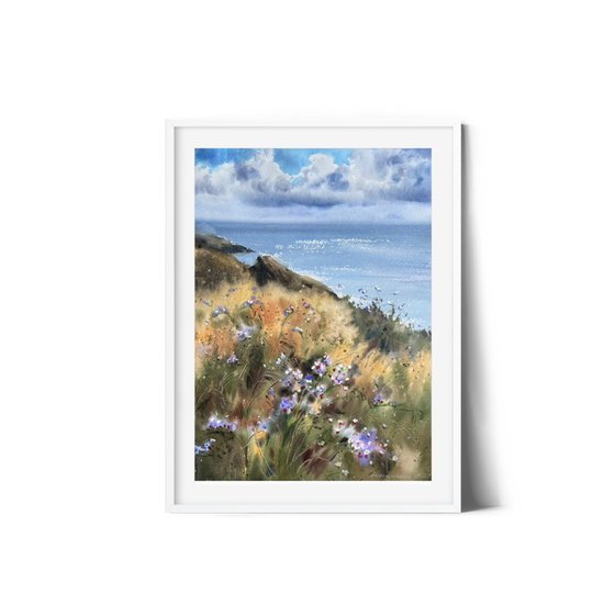 The sea coast