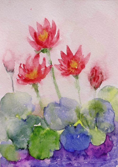 Crimson Water Lilies pond Sl. No 13 by Asha Shenoy