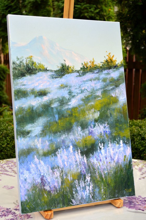Wild lavender in the haze of the morning sun