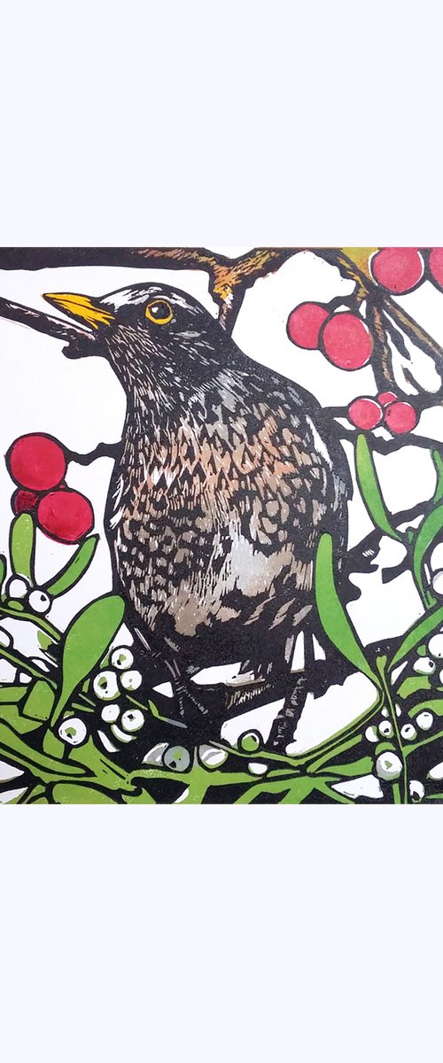 Redwing, red berries and mistletoe by Carolynne Coulson