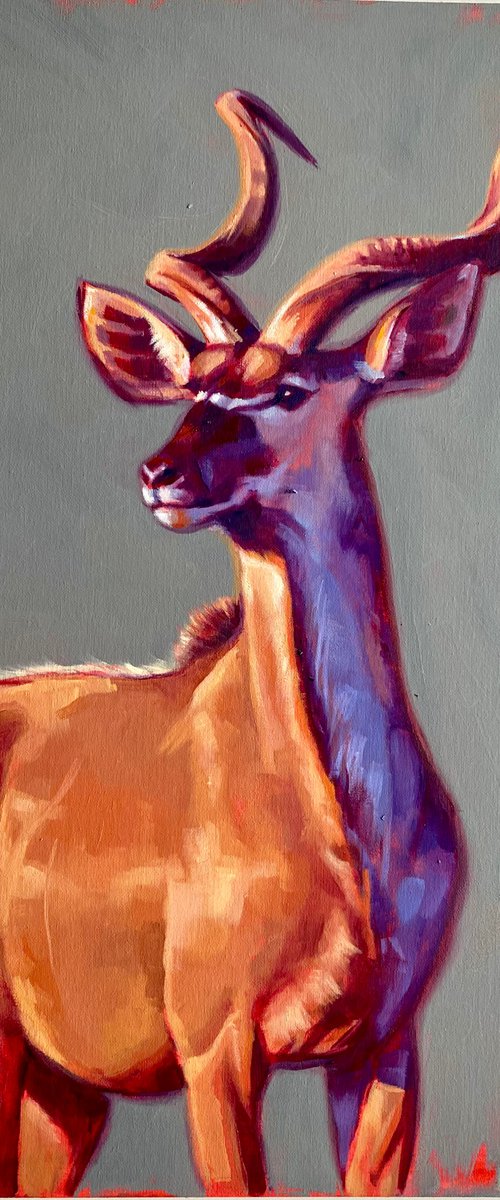 Kudu by Catherine Ingleby