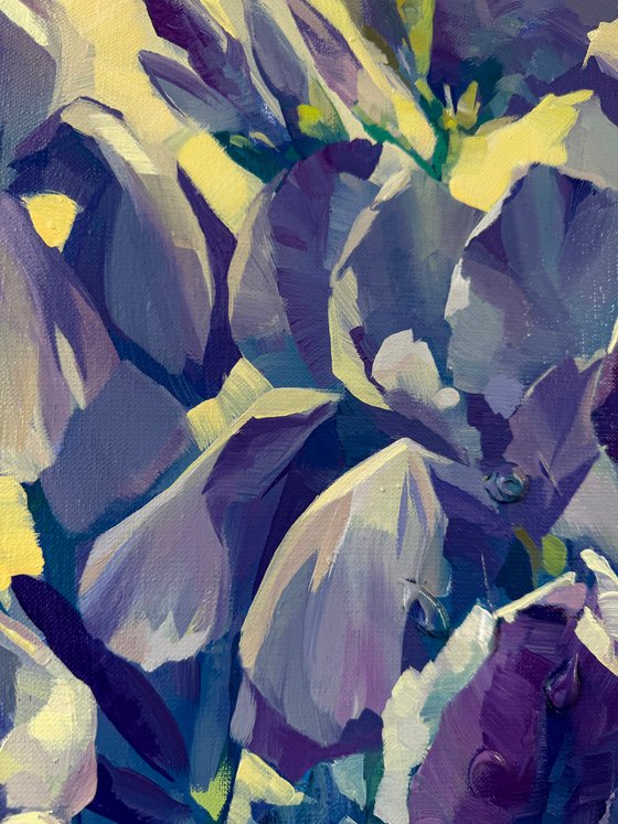 Irises in the Sunshine