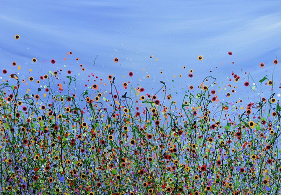 Wild Poppy Meadows