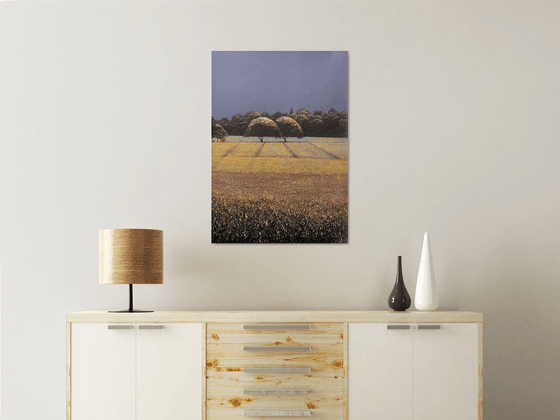 Lavender Fields 1