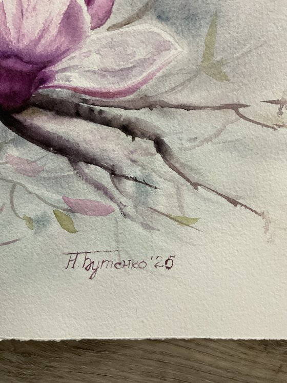 Magnolia, flowers, watercolour
