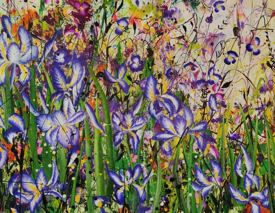 Dancing Irises