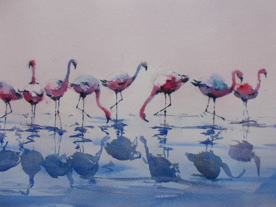 flamingos 2