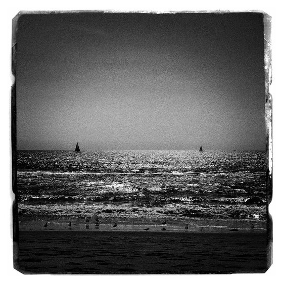 Venice Sun