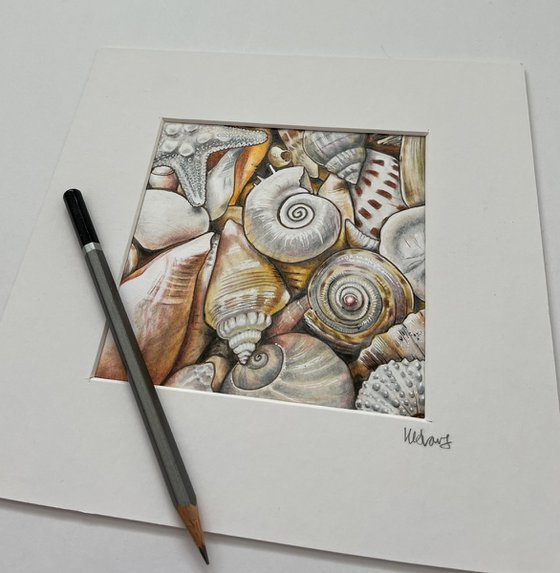 Shells
