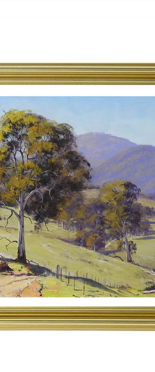 Road into the valley NSW by Graham Gercken