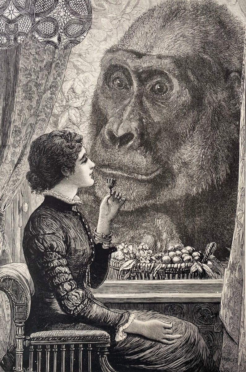 Surrealistic Portrait Collage By Tudor Evans, 7 X 10", Ape Love And Mary, Original Artwork