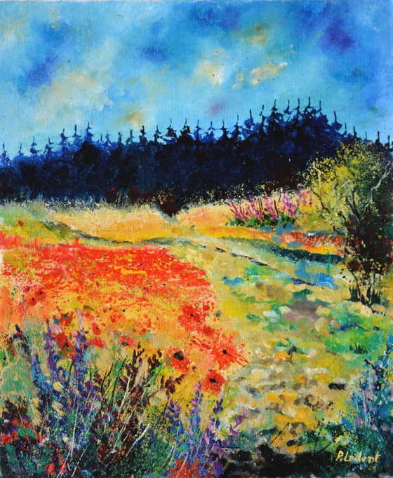 Summer landscape red poppies