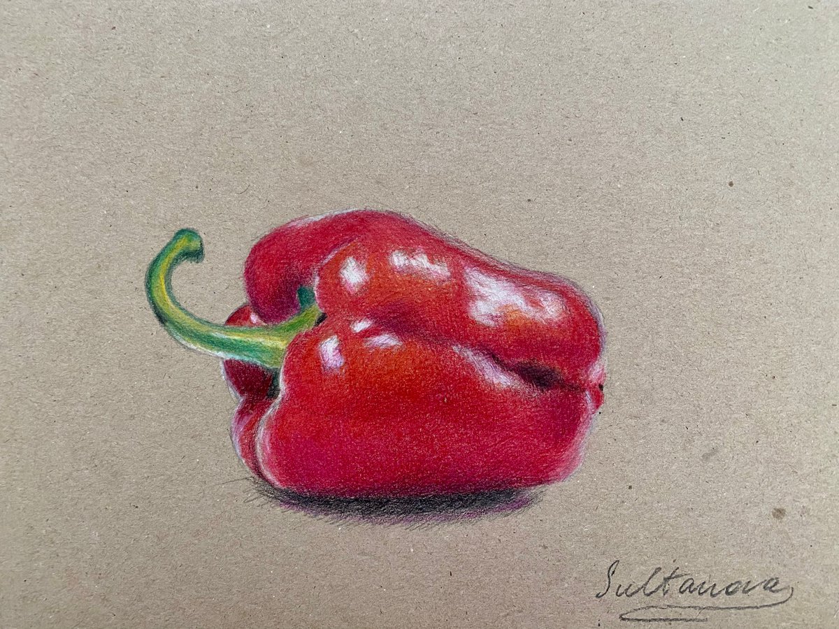 Red sweet pepper by Elvira Sultanova