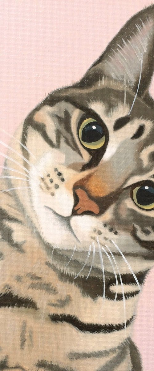 Doolally Cat by Jill Ann Harper