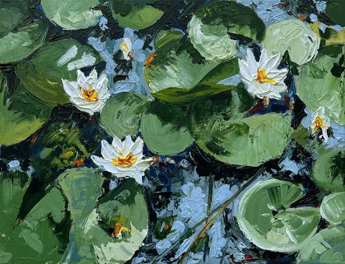 THE WATER LILY POND by Maiia Axton