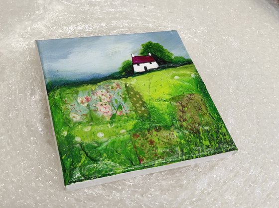 Little cottage on Green patchwork Field Textured Landscape