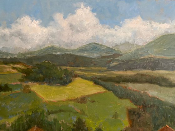 Tyrol Landscape