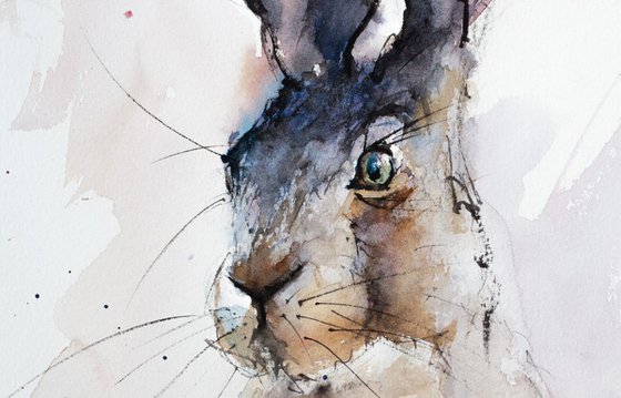 Watercolour Hare