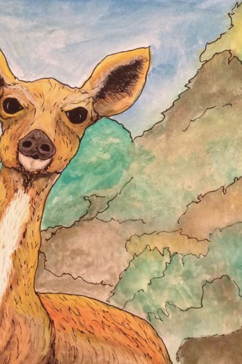 Yellow Deer by Donna Daniels