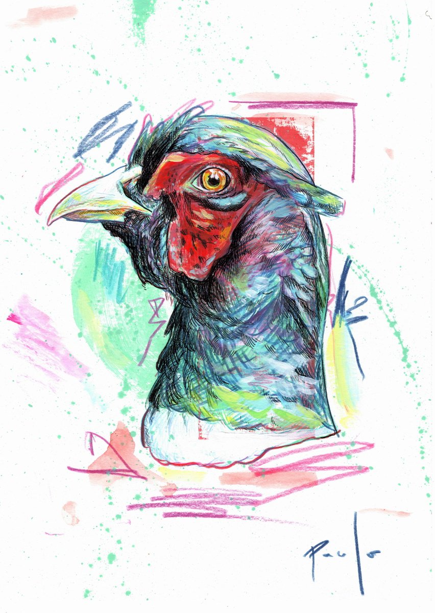 Illustrative Animal Pencil Drawing By Paul Ward, 8 X 11", Pheasant, Original Artwork