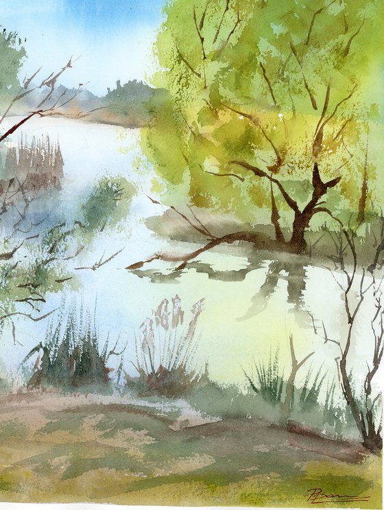 Spring Reflections