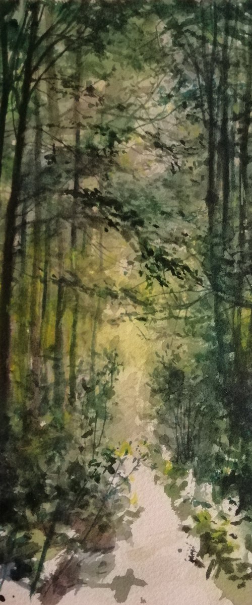 Forest path by Artem Grunyka