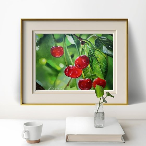 Red Cherries on Branch