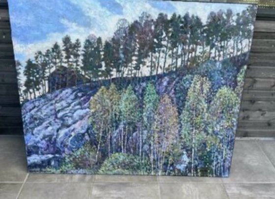 Trees grow on the stones too