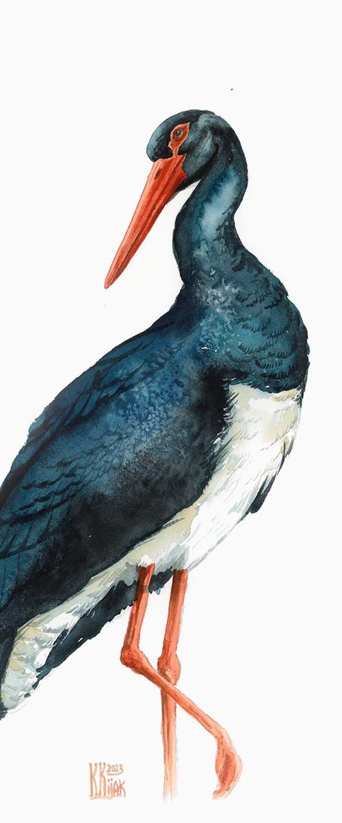 Black Stork by Karolina Kijak