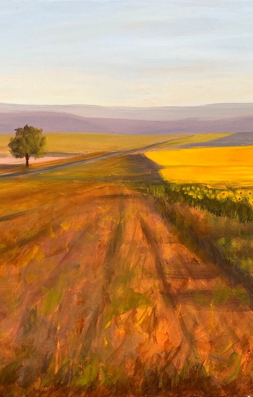 That lone tree in the Sunflower fields by Shelly Du