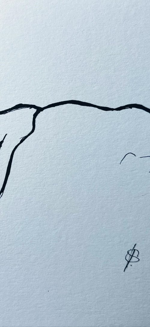 Bull Head In Ink 2 by Shabs  Beigh