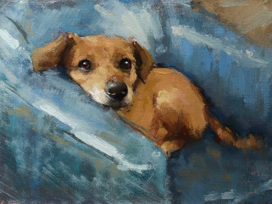 Biscotti