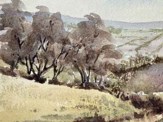 View towards Cornwall