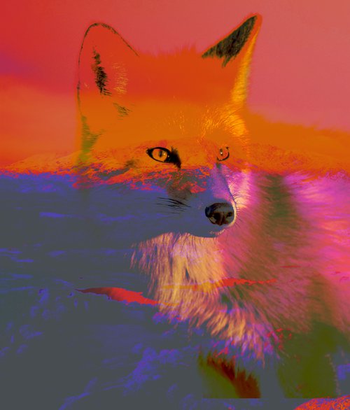 Electric fox by Sophie Roy