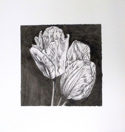 B/W Tulips 1 by Angela Stanbridge