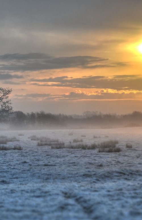 Frozen Blue by Sylvain VIAU