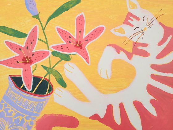 Lilies for my cat
