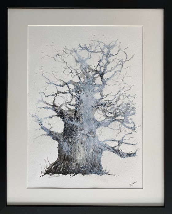 Misty oak tree framed