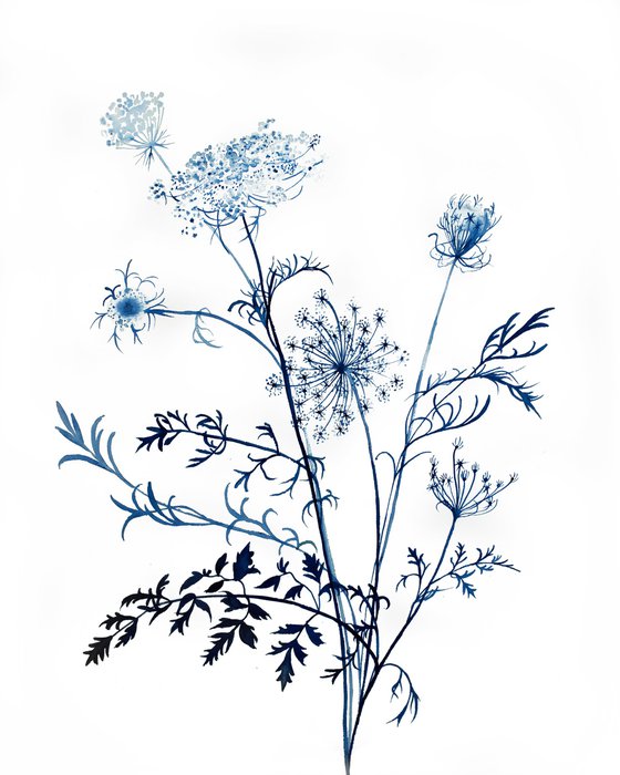 Queen Anne's Lace No. 11