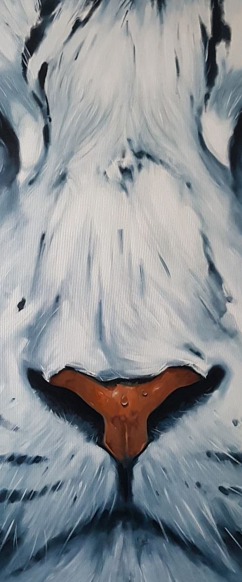 ,,SIGHT,, by VADIM KOVALEV