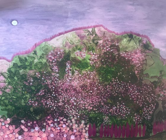 Where the wild roses grow