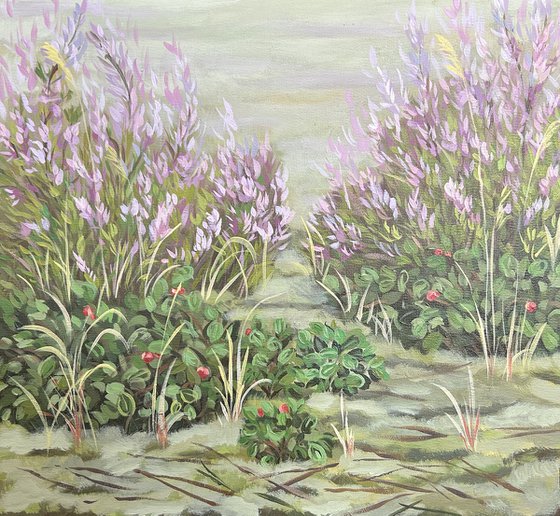 Heathland