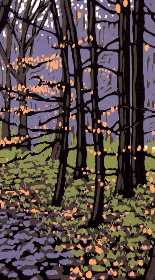 Beech Leaves in Winter by Alexandra Buckle