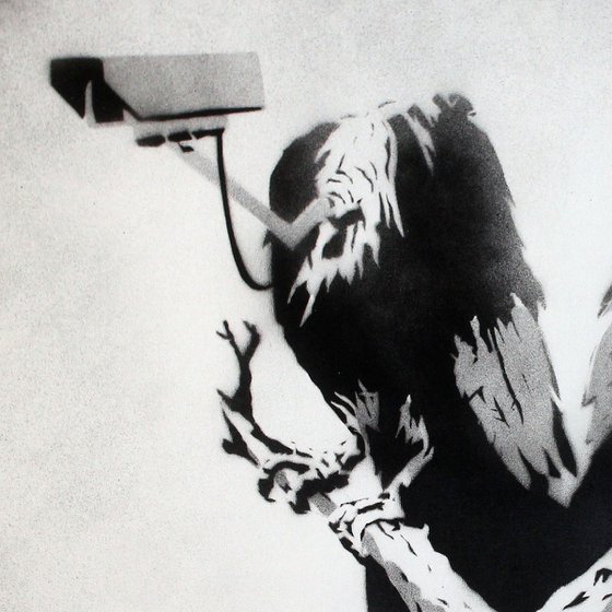 VULTURE SURVEILLANCE (BC).