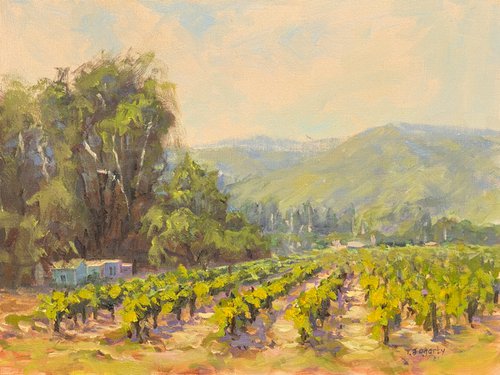 Napa Valley Vineyards View Landscape by Tatyana Fogarty