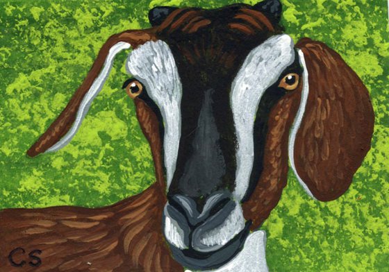 ACEO ATC Original Miniature Painting Brown Goat Farmyard Art-Carla Smale