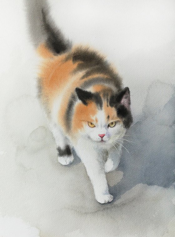 Confident Calico